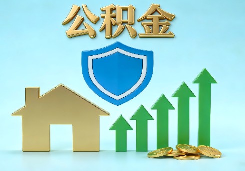 拉萨当前住房公积金提取条件分类指南与政策趋势